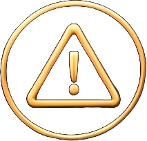 Icon 13