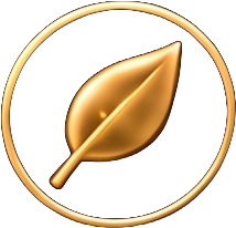 Icon 5